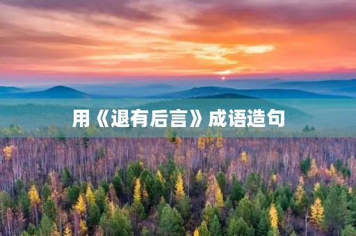用《退有后言》成语造句 用《退有后言》成语造句