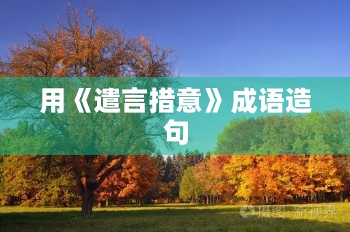 用《遣言措意》成语造句 用《遣言措意》成语造句