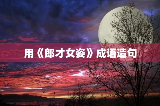 用《郎才女姿》成语造句