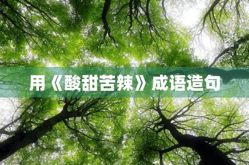 用《酸甜苦辣》成语造句 用《酸甜苦辣》成语造句