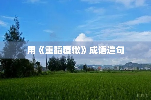 用《重蹈覆辙》成语造句 用《重蹈覆辙》成语造句