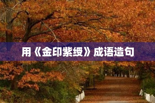 用《金印紫绶》成语造句 用《金印紫绶》成语造句