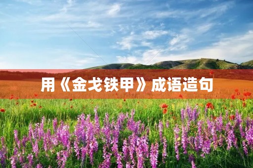 用《金戈铁甲》成语造句 用《金戈铁甲》成语造句
