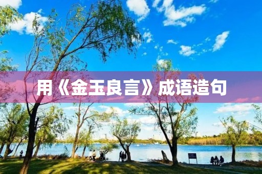 用《金玉良言》成语造句 用《金玉良言》成语造句