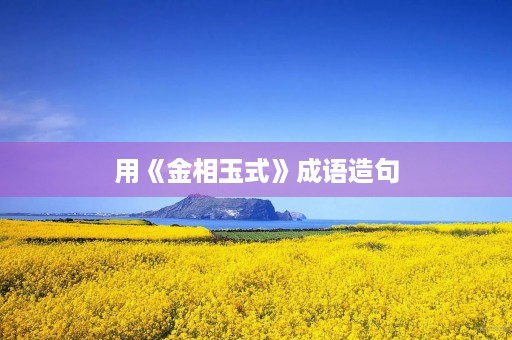 用《金相玉式》成语造句 用《金相玉式》成语造句