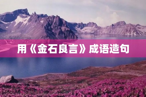 用《金石良言》成语造句