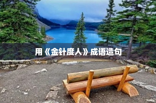 用《金针度人》成语造句 用《金针度人》成语造句