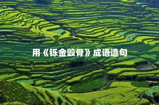 用《铄金毁骨》成语造句 用《铄金毁骨》成语造句