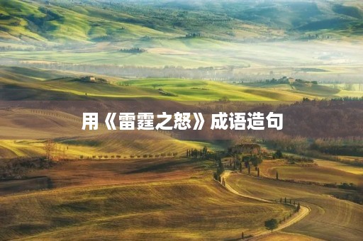 用《雷霆之怒》成语造句