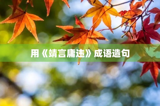 用《靖言庸违》成语造句 用《靖言庸违》成语造句