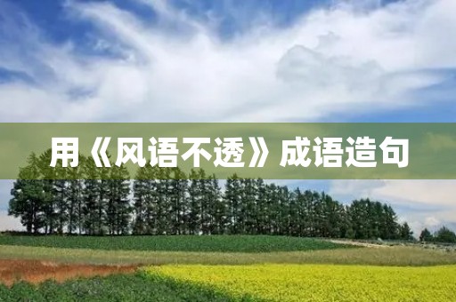 用《风语不透》成语造句