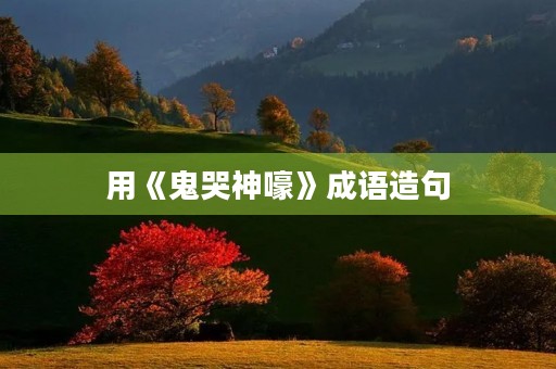 用《鬼哭神嚎》成语造句 用《鬼哭神嚎》成语造句