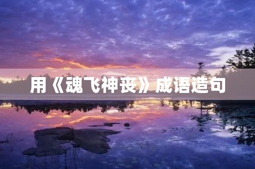 用《魂飞神丧》成语造句