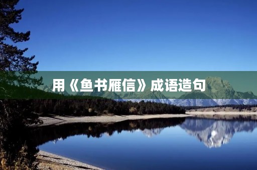 用《鱼书雁信》成语造句 用《鱼书雁信》成语造句