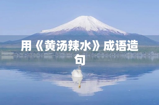 用《黄汤辣水》成语造句