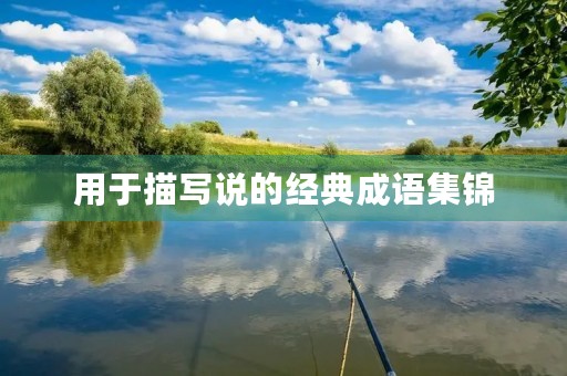 用于描写说的经典成语集锦 用于描写说的经典成语集锦