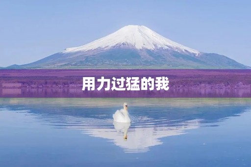 用力过猛的我