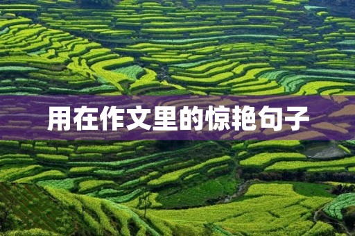 用在作文里的惊艳句子 用在作文里的惊艳句子