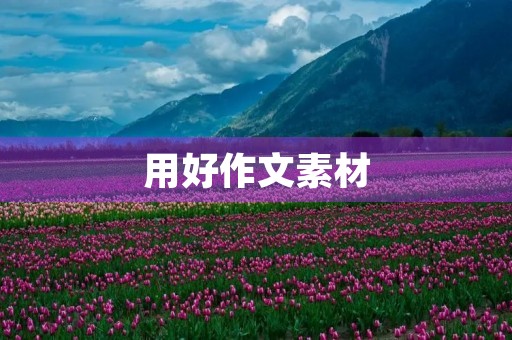用好作文素材，让你在中考中惊艳全场