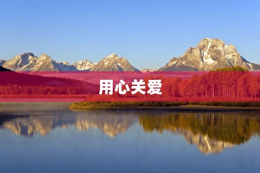 用心关爱,让世界更美好 用心关爱,让世界更美好