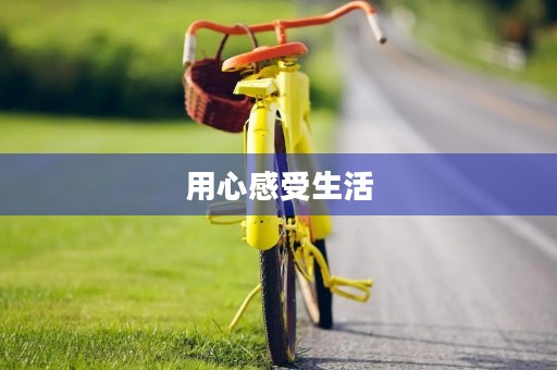 用心感受生活 用心感受生活
