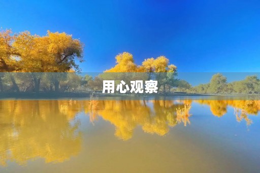 用心观察,发现美好 用心观察,发现美好