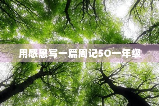 用感恩写一篇周记5O一年级 用感恩写一篇周记5O一年级