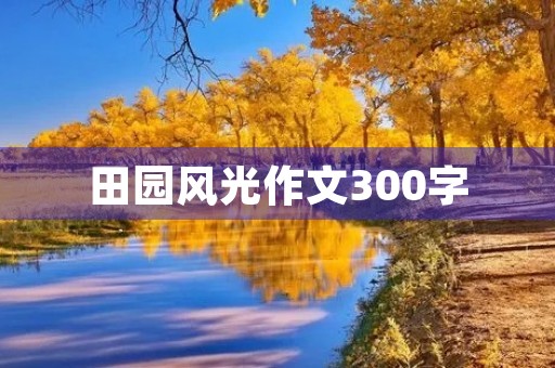 田园风光作文300字