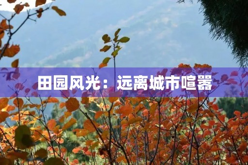 田园风光：远离城市喧嚣，感受大自然的美妙