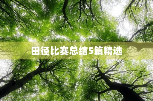 田径比赛总结5篇精选