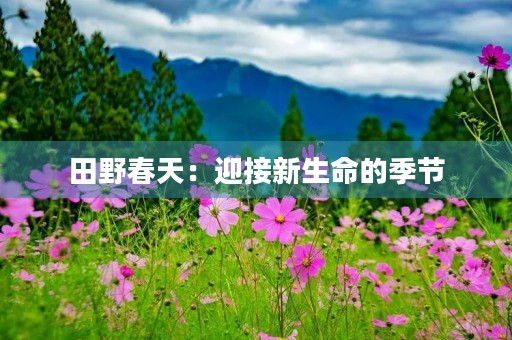 田野春天:迎接新生命的季节 田野春天:迎接新生命的季节