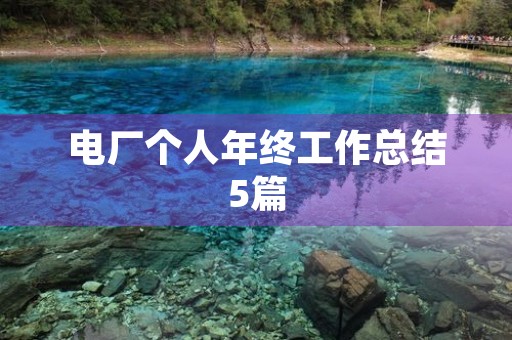 电厂个人年终工作总结5篇 电厂个人年终工作总结5篇