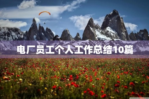 电厂员工个人工作总结10篇