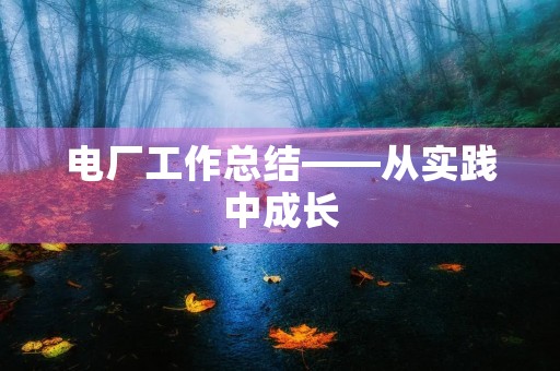 电厂工作总结——从实践中成长 电厂工作总结——从实践中成长