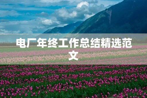 电厂年终工作总结精选范文