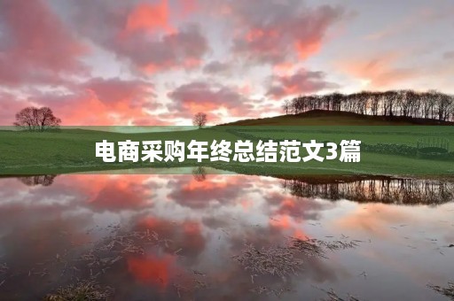 电商采购年终总结范文3篇