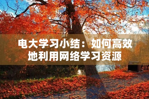 电大学习小结:如何高效地利用网络学习资源 电大学习小结:如何高效地利用网络学习资源