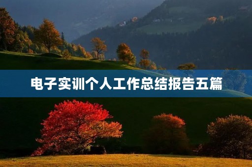 电子实训个人工作总结报告五篇