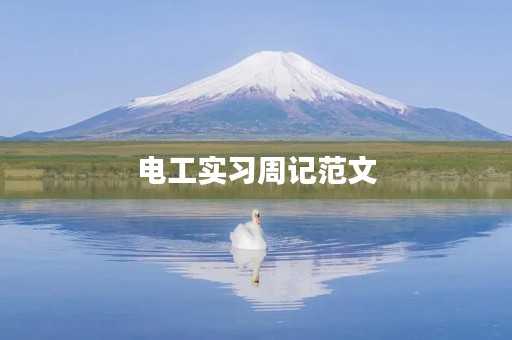 电工实习周记范文