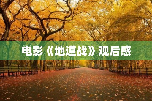 电影《地道战》观后感 电影《地道战》观后感