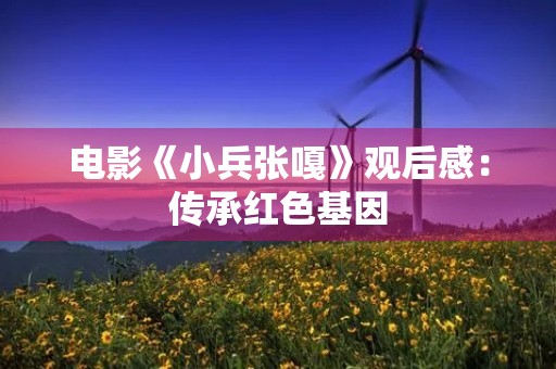 电影《小兵张嘎》观后感：传承红色基因，感悟爱国情怀