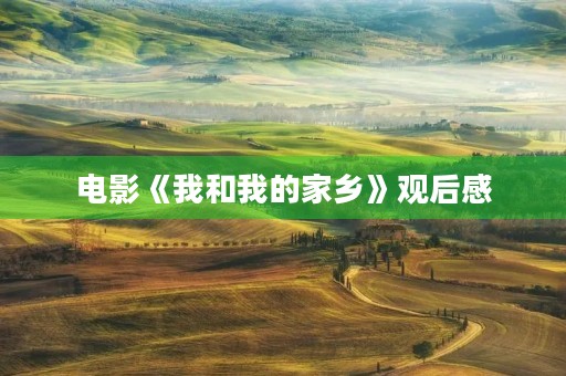 电影《我和我的家乡》观后感