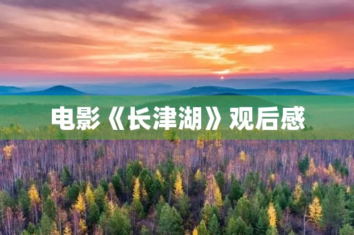 电影《长津湖》观后感 电影《长津湖》观后感
