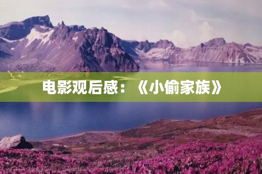 电影观后感：《小偷家族》