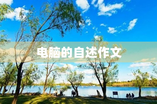 电脑的自述作文 电脑的自述作文