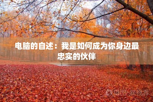 电脑的自述:我是如何成为你身边最忠实的伙伴 电脑的自述:我是如何成为你身边最忠实的伙伴