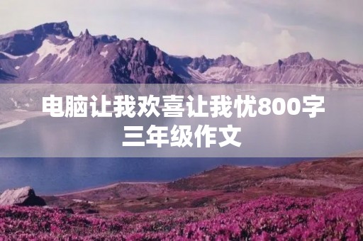 电脑让我欢喜让我忧800字三年级作文