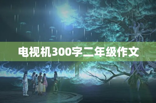 电视机300字二年级作文