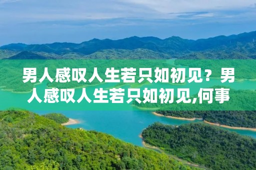 男人感叹人生若只如初见？男人感叹人生若只如初见,何事秋风悲画扇,下一句