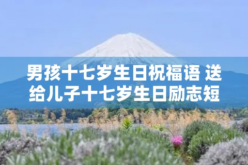 男孩十七岁生日祝福语 送给儿子十七岁生日励志短句